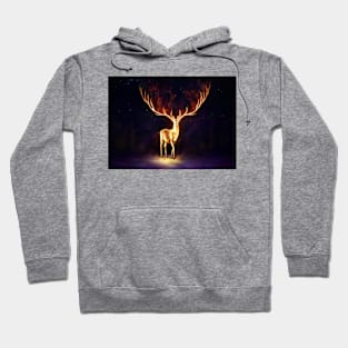 Firewalker Hoodie